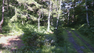 長野県菅平高原 ゆたか山荘 坂上 2026/08/10 15:15