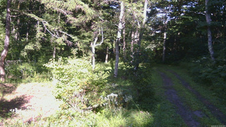 長野県菅平高原 ゆたか山荘 坂上 2026/08/10 16:00