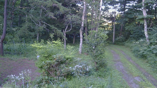 長野県菅平高原 ゆたか山荘 坂上 2026/08/10 17:45