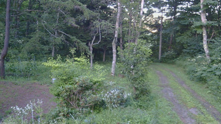 長野県菅平高原 ゆたか山荘 坂上 2026/08/10 18:15