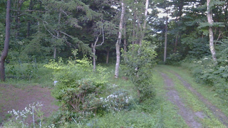 長野県菅平高原 ゆたか山荘 坂上 2026/08/10 18:30
