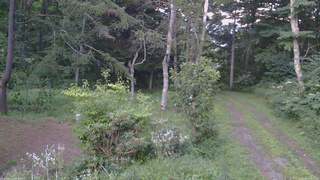 長野県菅平高原 ゆたか山荘 坂上 2026/08/10 18:45