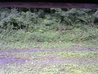 長野県菅平高原 ゆたか山荘 東側(坂下) 2026/08/11 10:15