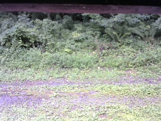 長野県菅平高原 ゆたか山荘 東側(坂下) 2026/08/11 10:30
