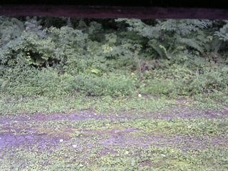 長野県菅平高原 ゆたか山荘 東側(坂下) 2026/08/11 11:45