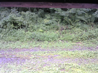 長野県菅平高原 ゆたか山荘 東側(坂下) 2026/08/11 12:00