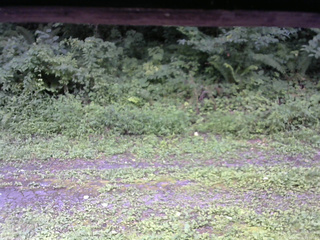長野県菅平高原 ゆたか山荘 東側(坂下) 2026/08/11 12:30