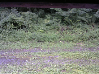 長野県菅平高原 ゆたか山荘 東側(坂下) 2026/08/11 13:15