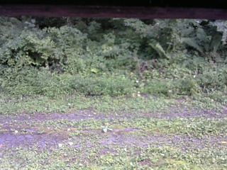 長野県菅平高原 ゆたか山荘 東側(坂下) 2026/08/11 14:30
