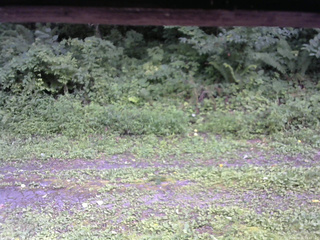 長野県菅平高原 ゆたか山荘 東側(坂下) 2026/08/11 14:45