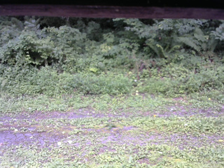 長野県菅平高原 ゆたか山荘 東側(坂下) 2026/08/11 15:00