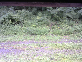 長野県菅平高原 ゆたか山荘 東側(坂下) 2026/08/11 15:15