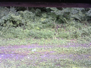 長野県菅平高原 ゆたか山荘 東側(坂下) 2026/08/11 15:45