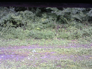 長野県菅平高原 ゆたか山荘 東側(坂下) 2026/08/11 16:00