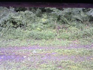 長野県菅平高原 ゆたか山荘 東側(坂下) 2026/08/11 16:15