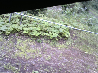 長野県菅平高原 ゆたか山荘 駐車場 2026/08/11 08:00