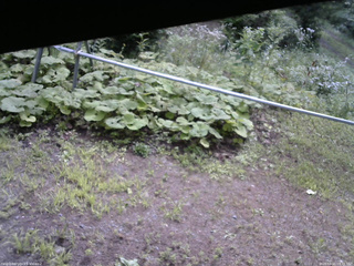 長野県菅平高原 ゆたか山荘 駐車場 2026/08/11 09:15
