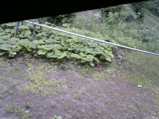 長野県菅平高原 ゆたか山荘 駐車場 2026/08/11 09:45