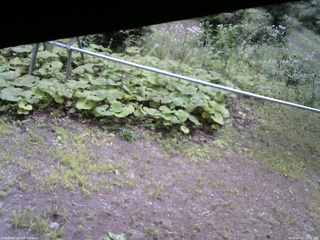 長野県菅平高原 ゆたか山荘 駐車場 2026/08/11 10:45
