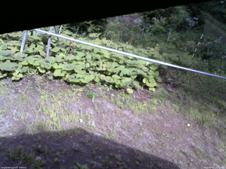 長野県菅平高原 ゆたか山荘 駐車場 2026/08/11 14:45