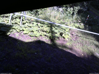 長野県菅平高原 ゆたか山荘 駐車場 2026/08/11 15:30
