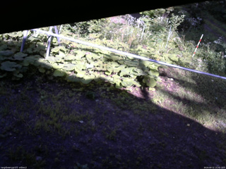 長野県菅平高原 ゆたか山荘 駐車場 2026/08/11 15:45