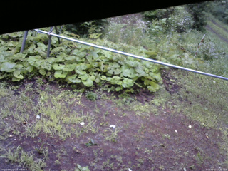 長野県菅平高原 ゆたか山荘 駐車場 2026/08/11 18:00