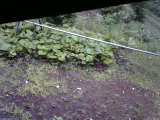 長野県菅平高原 ゆたか山荘 駐車場 2026/08/11 18:15