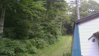 長野県菅平高原 ゆたか山荘 ゆたか山荘 2026/08/11 09:45