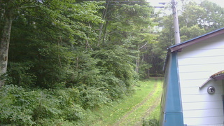 長野県菅平高原 ゆたか山荘 ゆたか山荘 2026/08/11 13:00