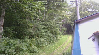 長野県菅平高原 ゆたか山荘 ゆたか山荘 2026/08/11 14:00