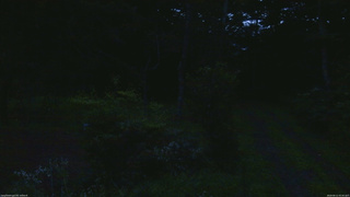 長野県菅平高原 ゆたか山荘 坂上 2026/08/11 05:00