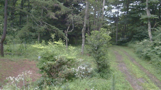 長野県菅平高原 ゆたか山荘 坂上 2026/08/11 05:15