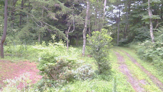 長野県菅平高原 ゆたか山荘 坂上 2026/08/11 05:30
