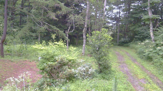 長野県菅平高原 ゆたか山荘 坂上 2026/08/11 05:45