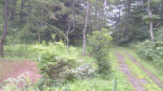 長野県菅平高原 ゆたか山荘 坂上 2026/08/11 06:00