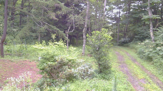 長野県菅平高原 ゆたか山荘 坂上 2026/08/11 06:15