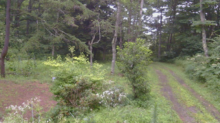 長野県菅平高原 ゆたか山荘 坂上 2026/08/11 06:30