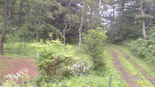 長野県菅平高原 ゆたか山荘 坂上 2026/08/11 06:45
