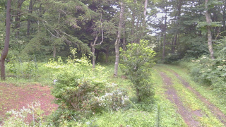 長野県菅平高原 ゆたか山荘 坂上 2026/08/11 07:00