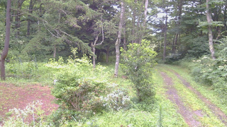 長野県菅平高原 ゆたか山荘 坂上 2026/08/11 07:15
