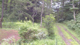 長野県菅平高原 ゆたか山荘 坂上 2026/08/11 07:30