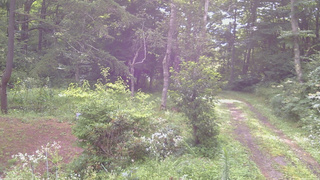 長野県菅平高原 ゆたか山荘 坂上 2026/08/11 07:45
