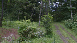 長野県菅平高原 ゆたか山荘 坂上 2026/08/11 08:00