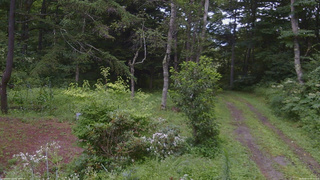 長野県菅平高原 ゆたか山荘 坂上 2026/08/11 08:15
