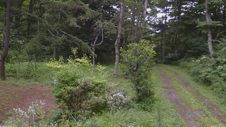 長野県菅平高原 ゆたか山荘 坂上 2026/08/11 08:30