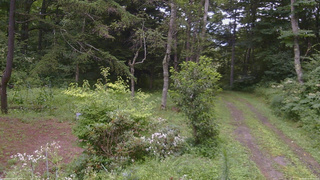 長野県菅平高原 ゆたか山荘 坂上 2026/08/11 08:45