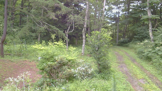 長野県菅平高原 ゆたか山荘 坂上 2026/08/11 09:00