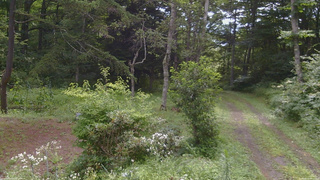長野県菅平高原 ゆたか山荘 坂上 2026/08/11 09:15