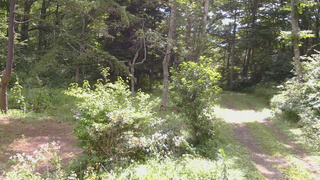 長野県菅平高原 ゆたか山荘 坂上 2026/08/11 09:30